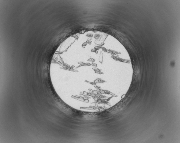 X0000116860470201002021110