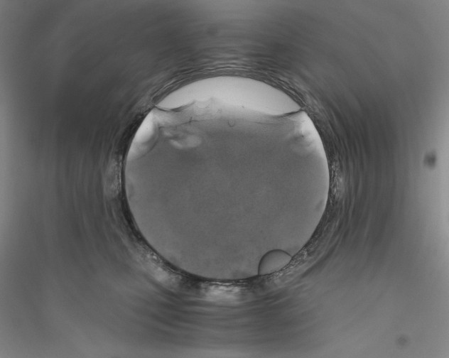 X0000116860471201002021110