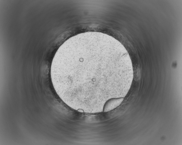 X0000116860472201002021110