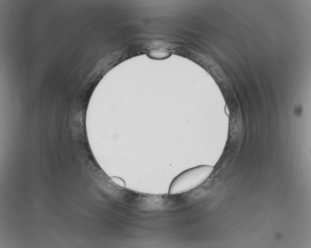 X0000116860473201002021110