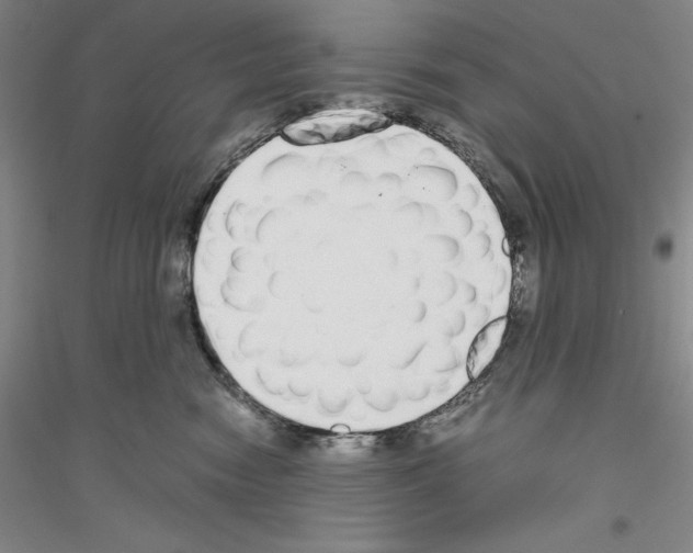 X0000116860474201002021110