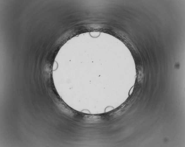 X0000116860476201002021110