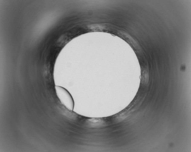 X0000116860477201002021110