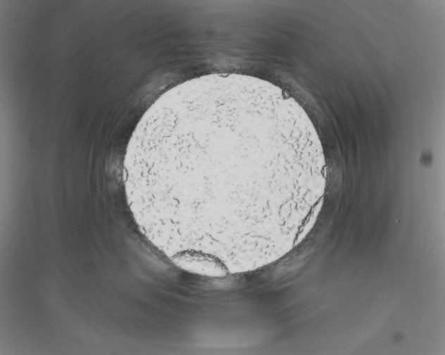 X0000116860479201002021110