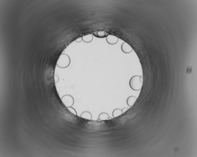 X0000116860480201002021110