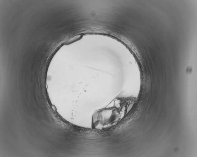 X0000116860481201002021109