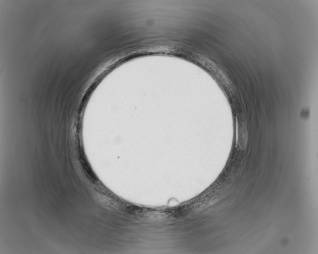 X0000116860483201002021109