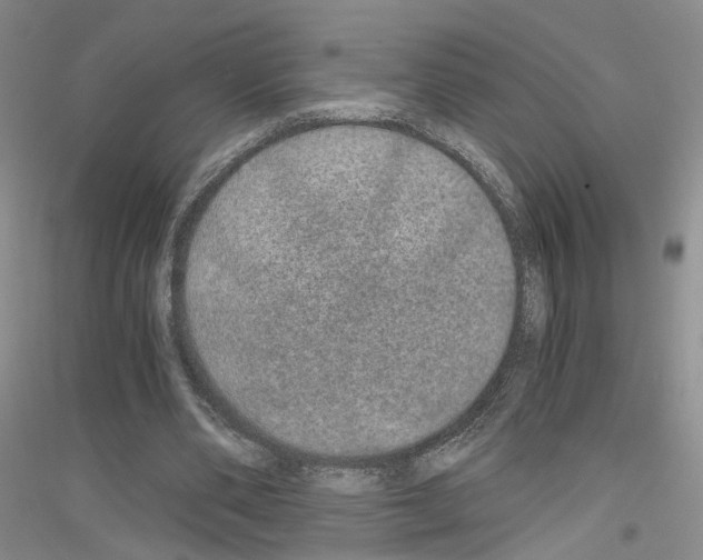 X0000116860486201002021109