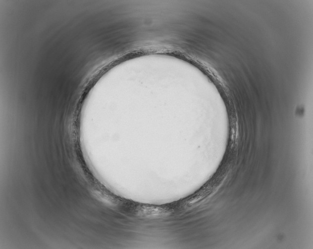 X0000116860487201002021109