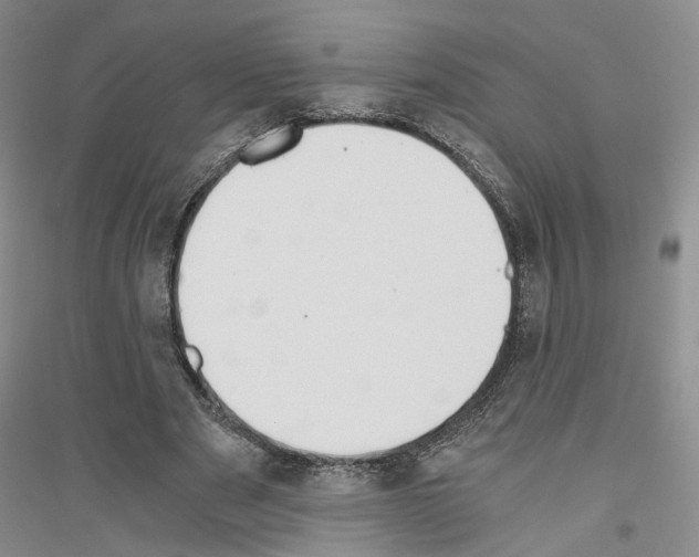 X0000116860489201002021109