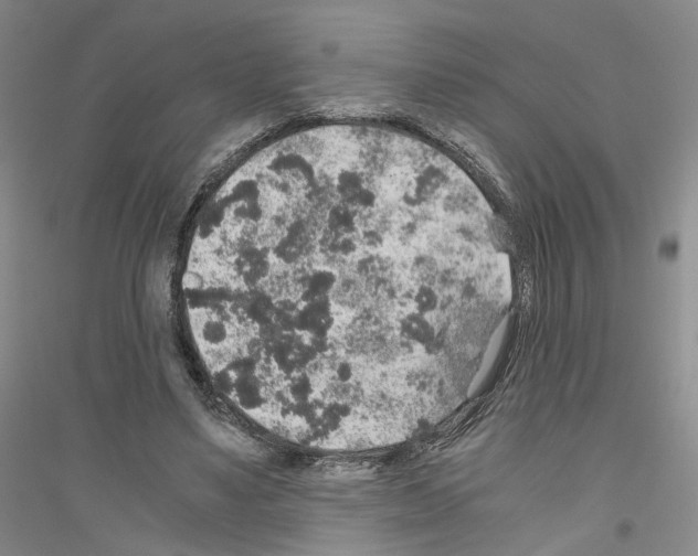 X0000116860491201002021109