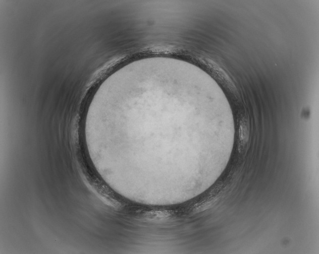 X0000116860492201002021109