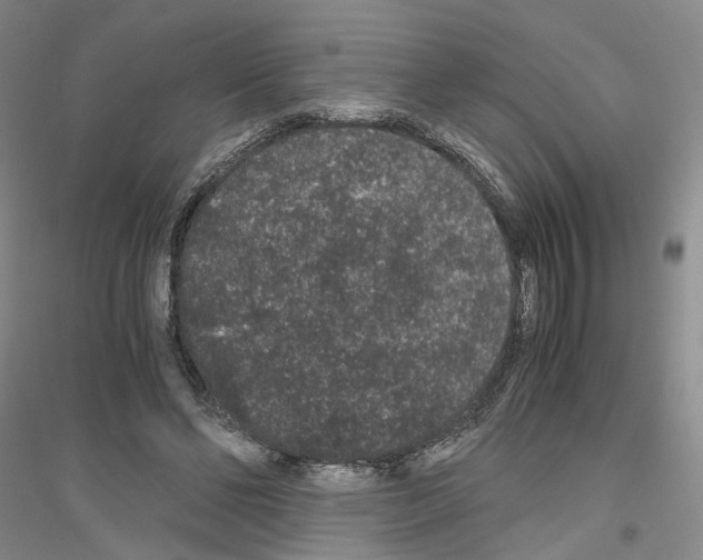 X0000116860494201002021109