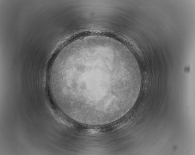 X0000116860496201002021109