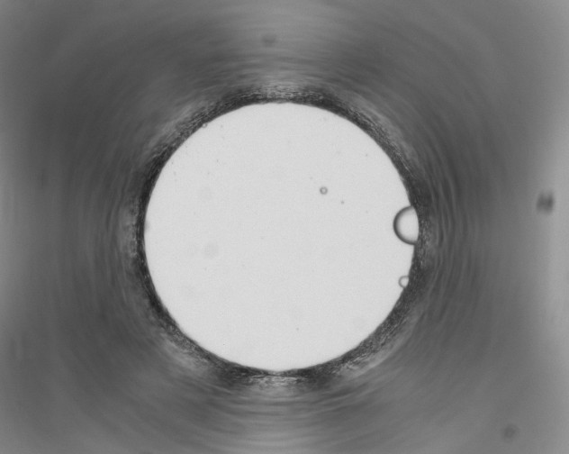 X0000116860497201002021109