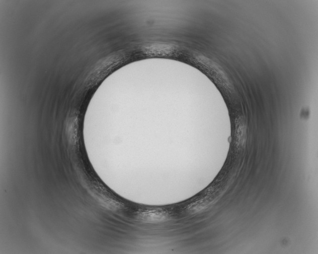 X0000116860498201002021109