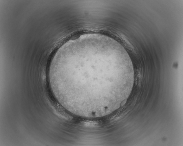 X0000116860500201002021109