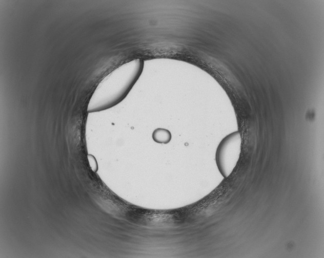 X0000116860501201002021109