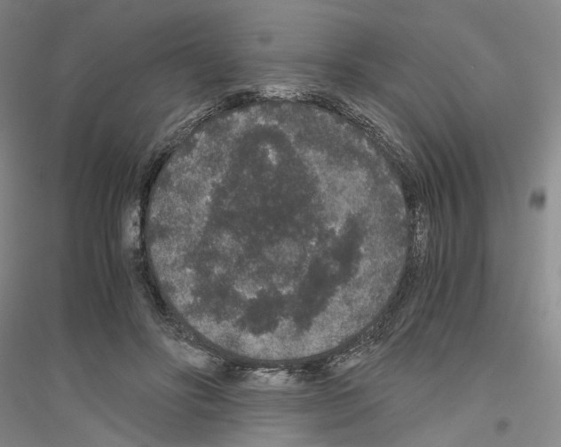 X0000116860502201002021109