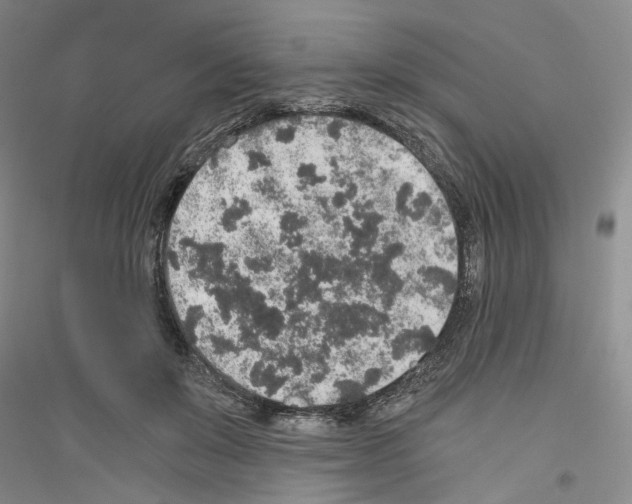 X0000116860503201002021109