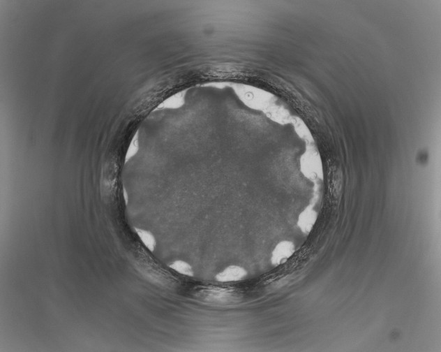 X0000116860507201002021109