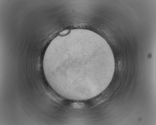 X0000116860508201002021109