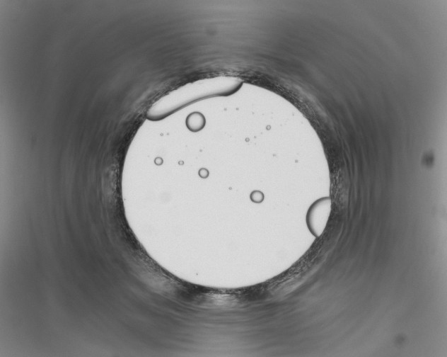 X0000116860509201002021109