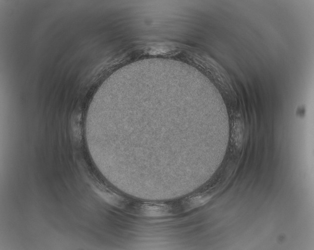 X0000116860510201002021109