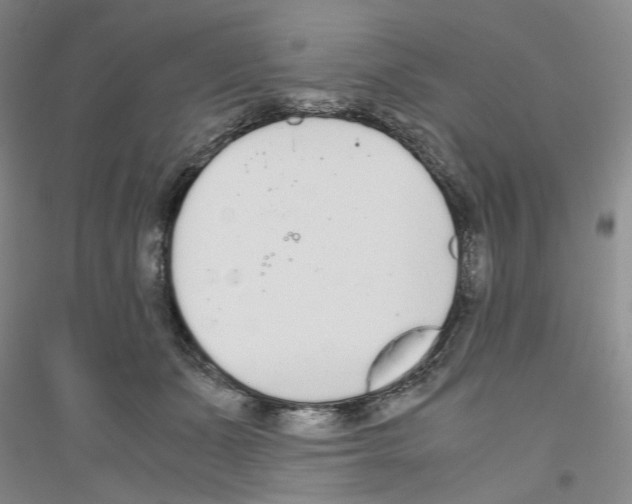 X0000116860511201002021109