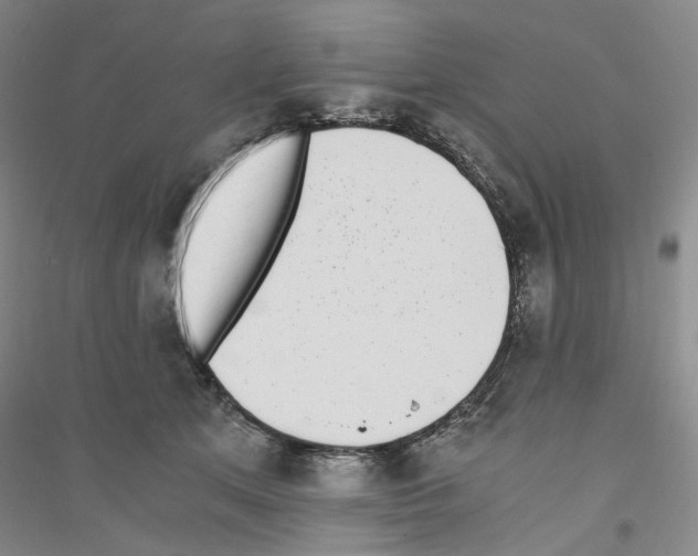 X0000116860513201002021109