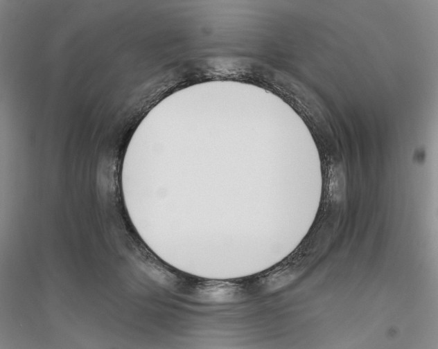 X0000116860514201002021109