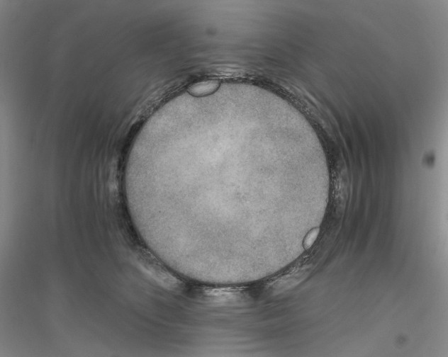 X0000116860516201002021109