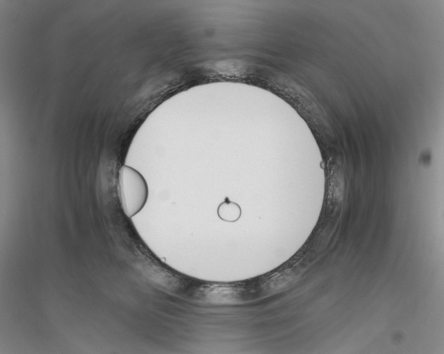 X0000116860518201002021109