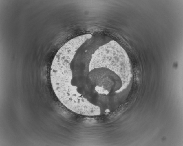 X0000116860519201002021109