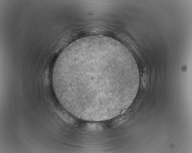 X0000116860520201002021109