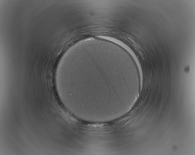 X0000116860524201002021109