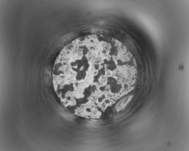 X0000116860527201002021109