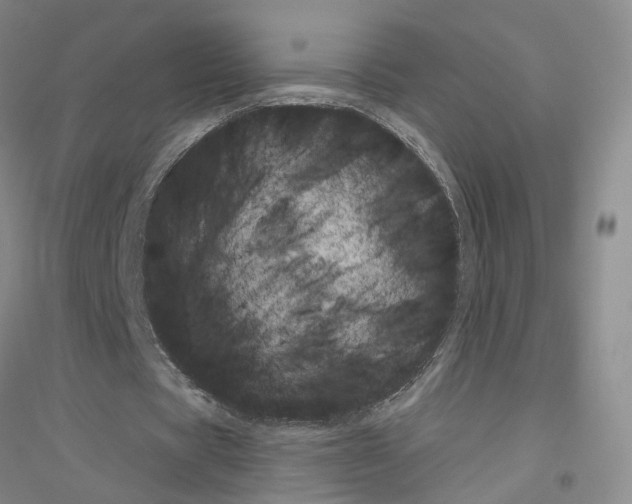 X0000116860529201002021108