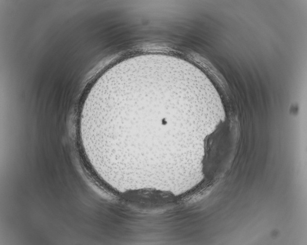 X0000116860533201002021108