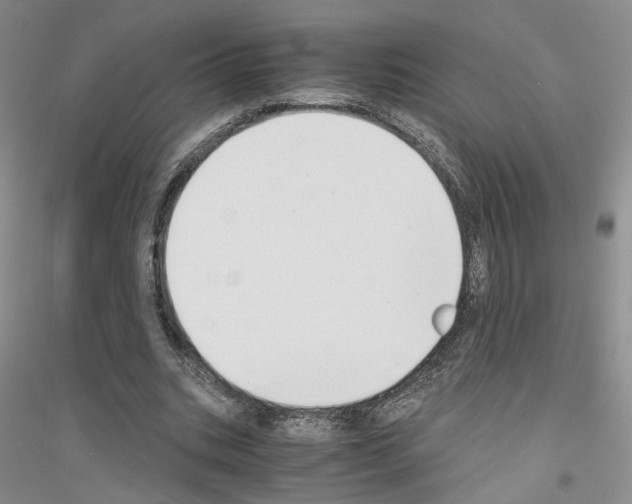 X0000116860535201002021108