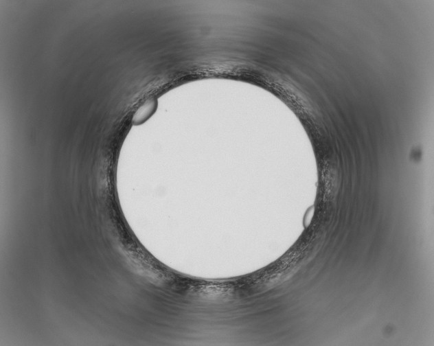 X0000116860546201002021108