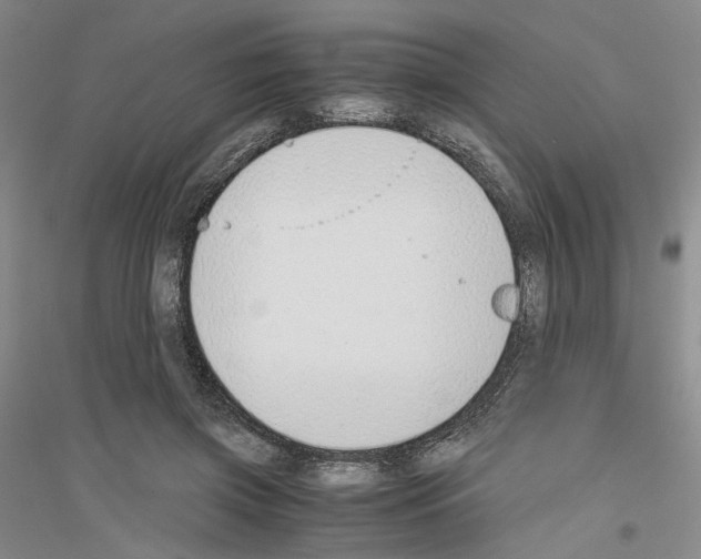 X0000116860549201002021108