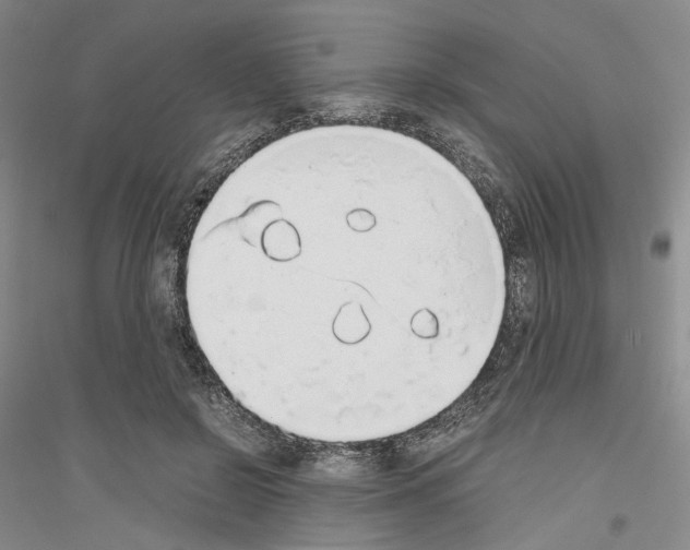 X0000116860550201002021108