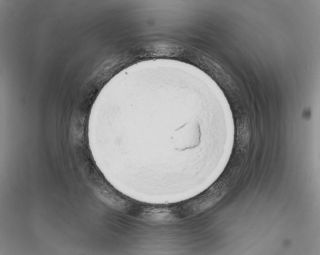 X0000116860554201002021108