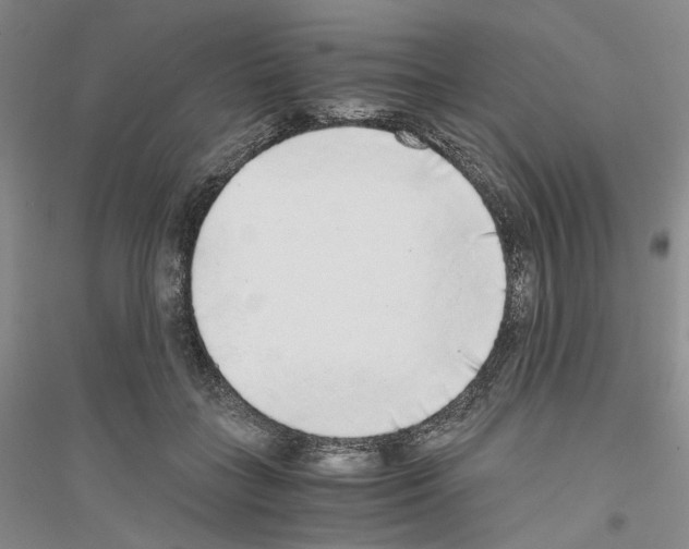 X0000116860555201002021108