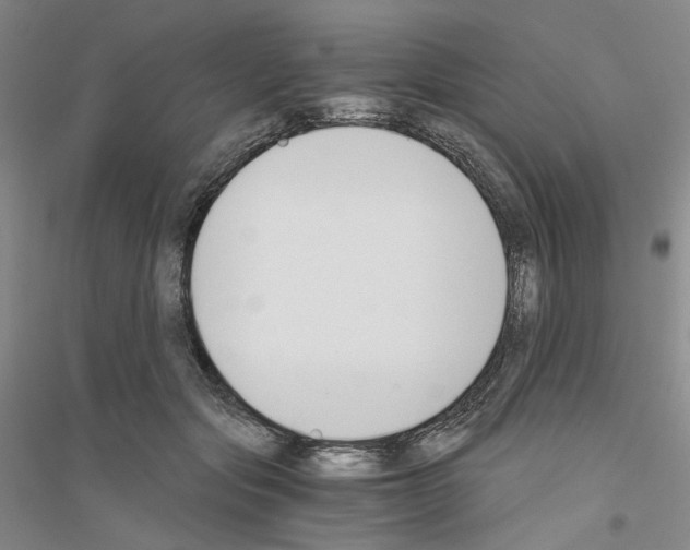 X0000116860557201002021108