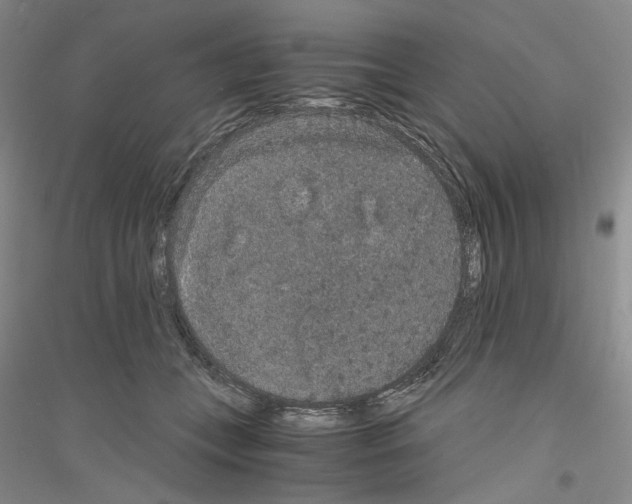 X0000116860559201002021108