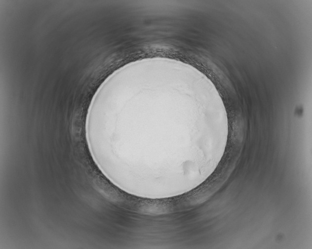 X0000116860561201002021108