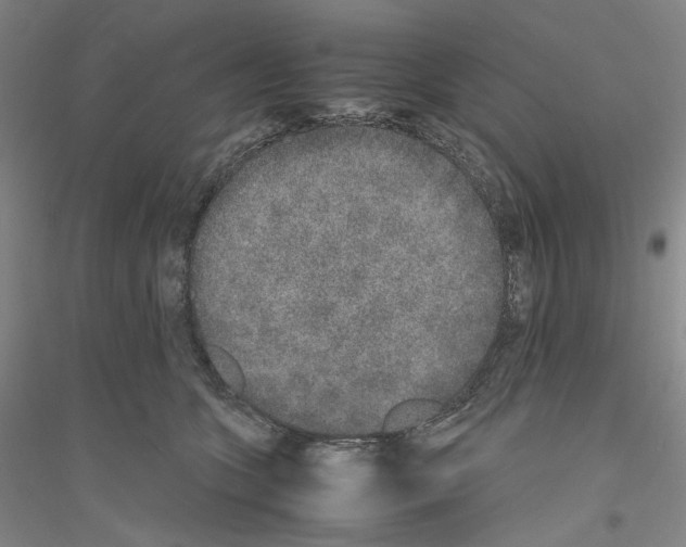 X0000116860563201002021108