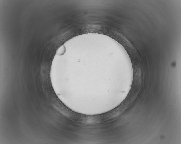 X0000116860565201002021109